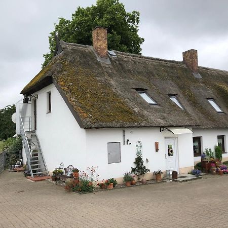 Ferienwohnung Landhaus Zurow Экстерьер фото